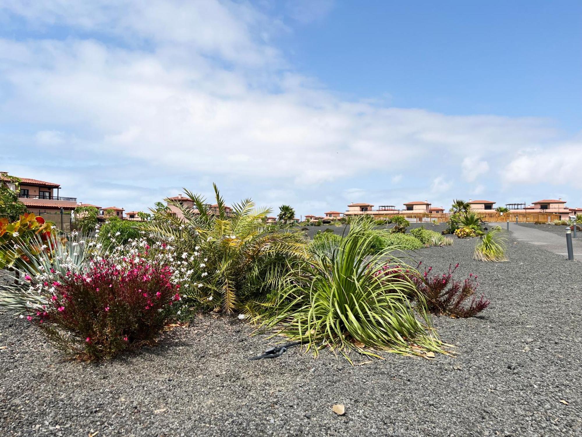 Casa Solayla Origomare Villa Lajares Buitenkant foto